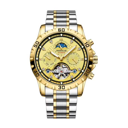 Titan Chrono X - Valmère® Luxury Men's Chronograph Watch Gold & Silver